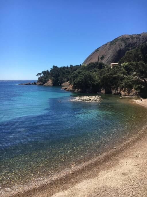 Blue Summer Vibes Mini Studio For Two, Ac, Parking, Beach At 50M, Spa Access -2 La Ciotat Eksteriør bilde